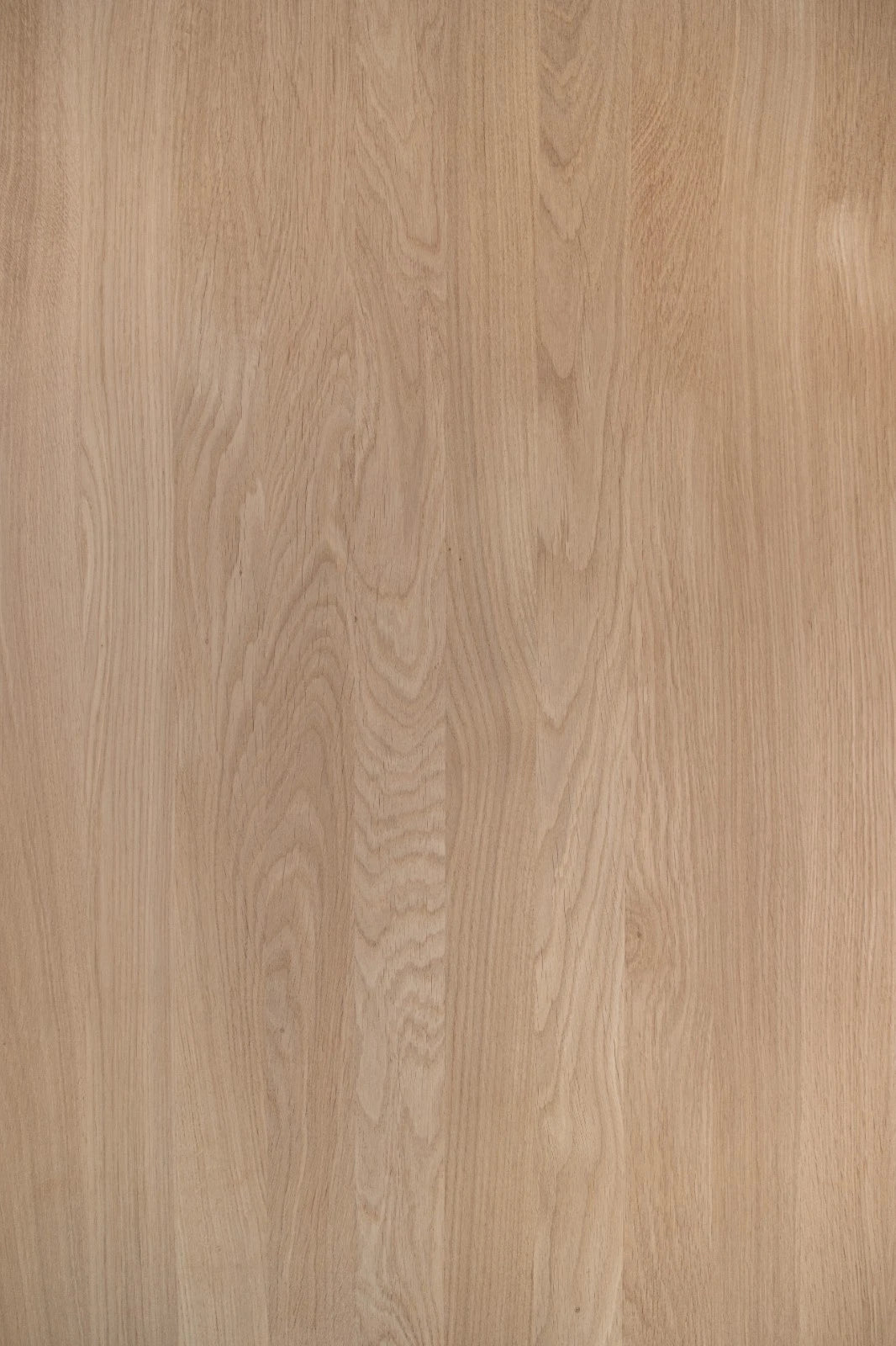 Solid edge glued panel DIY Oak A/B, full stave lamellas with fixed width, 16 mm